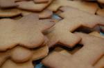 bild_202.jpg